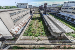 Nákladové nádraží Žižkov, současný stav.