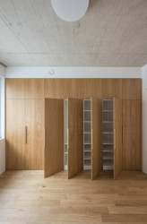 Vestavěný nábytek s dubovou dýhou (Terasový dvojdům v Krči, martin cenek architecture)