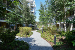 Administrativně-rezidenční komplex Hagibor roste na zanedbaném brownfieldu.