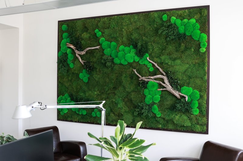 Mechové stěny a obrazy od Jungle Interiors