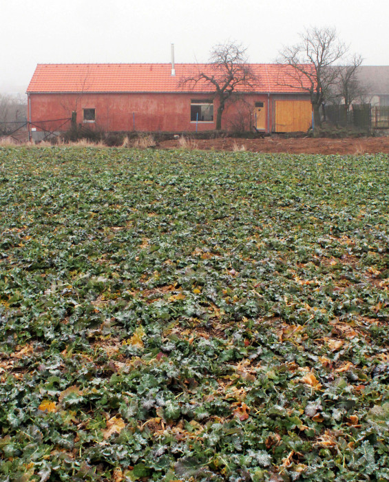 Dům v Lukovanech, ertepl.