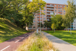 Projekt je to velký, celé území má 8 ha a úpravy stály 3,5 milionů eur. Uskutečnil se ale poměrně rychle, 2017 proběhla architektonicko-krajinářská soutěž, povedlo se získat peníze z evropských fondů a v roce 2022 došlo během jednoho léta k realizaci.