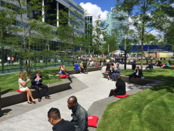 5. prosince proběhne v kině Světozor dvojpřednáška s názvem Ozeleňování měst s amsterdamským krajinářským architektem Tonem Mullerem a tuzemským krajinářským architektem Štěpánem Špoulou.