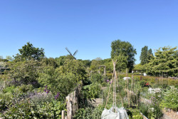 Uvnitř parku Slottsparkenu se nachází komunitní zahrada Slottsträdgården.