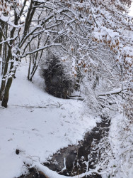 Dřevostavba stojí v lese ve stráni u potoka a díky své specifické přírodní a „rozčepýřené“ fasádě je prakticky „neviditelná“.