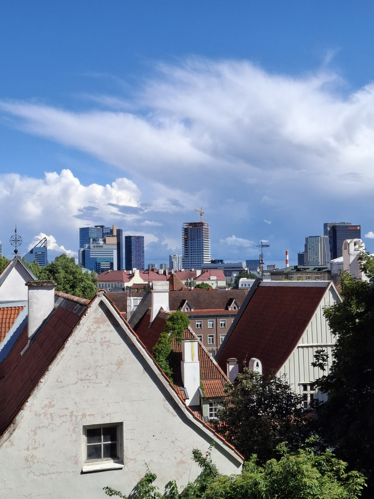 Tallinn z výšky: historické střechy Starého Města a současná zástavba v pozadí.