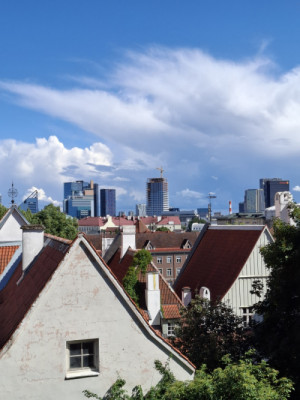 Tallinn z výšky: historické střechy Starého Města a současná zástavba v pozadí.