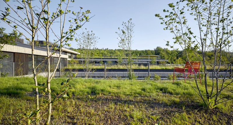 Budova drží ocenění LEED Platinum a patří tak mezi desítku nejekologičtějších budov v EU. (Centrála ČSOB v souladu s přírodou; Chalupa architekti a partneři)