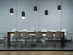 Capsule Lucis, Hermann & Coufal.