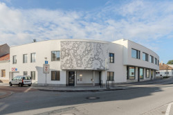 Sgrafito, které zdobí polyfunční dům ve Šlapanicích.