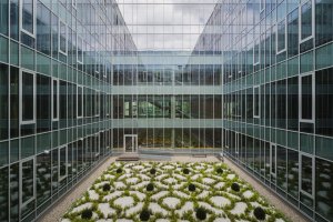 Architektonické studio Kuryłowicz & Associates realizovali ve Varšavě novou budovu Fakulty aplikované lingvistiky a moderních jazyků Varšavské univerzity