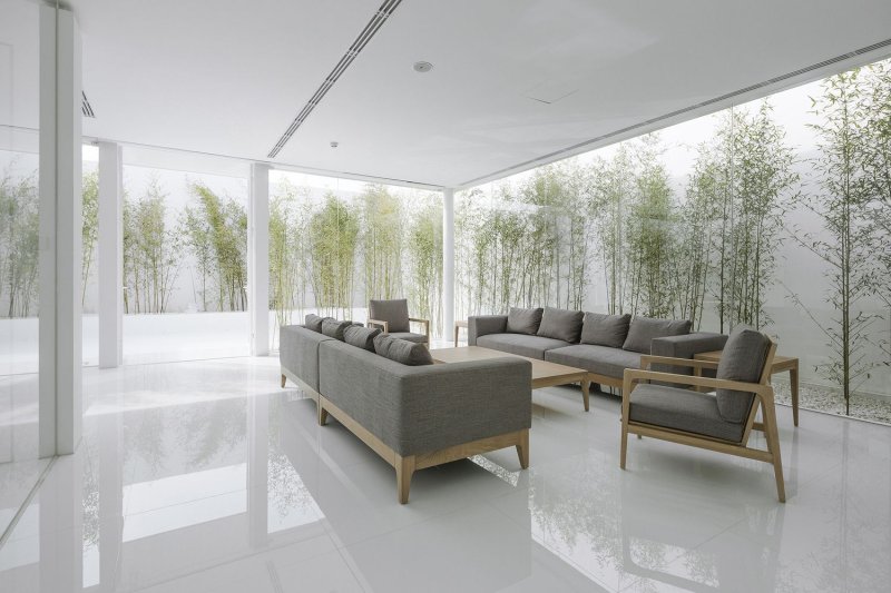 Bamboo Forest, V Studio
