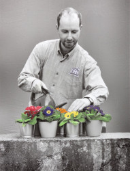 UNES-CO, Kateřina Šedá