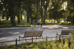 mmcité svými produkty přispělo k proměně rozsáhlého městského parku ve čtvrti Városliget v Budapešti