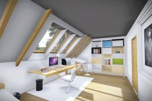 Tomáš Klanica, House in the Woods - foto