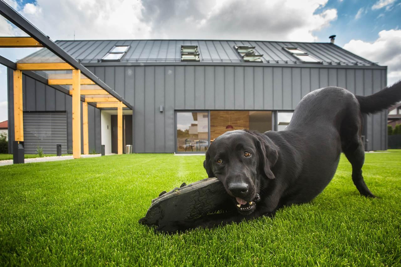 Mio architects, RD Mladíkov – foto