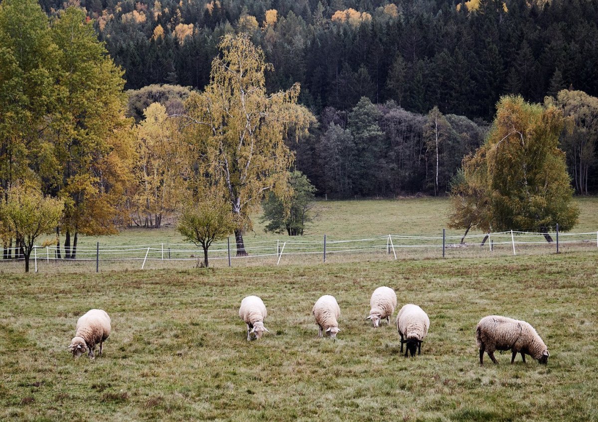 Chatka v CHKO, Markéta Bromová