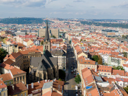 Hlavní žižkovské ulice budou proměněny v duchu modrozelené infrastruktury a hospodaření s dešťovou vodou.