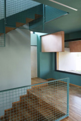 Houses of Cards, Cat House, Elastico Farm