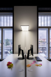 Rekonstrukce bytu továrníka na současné kanceláře, barbora léblová interiors & architecture