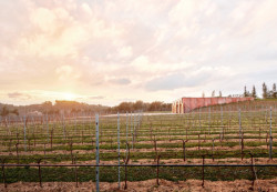 Vinařství v Mont-Ras od Jorge Vidal a Víctor Rahola