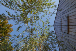 Proměna hospodářské usedlosti s mlýnem na Slovensku od RDTH architekti