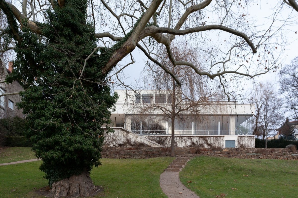 Vila Tugendhat v Brně od Miese van der Rohe na fotografiích Alexandry Timpau