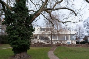 Vila Tugendhat v Brně od Miese van der Rohe na fotografiích Alexandry Timpau