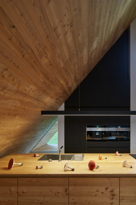 Víkendový dům v Beskydech, Pavel Míček Architects