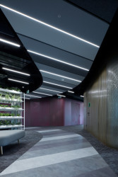 Kanceláře společnosti Livesport, Studio Reaktor / Jakub Heidler, Jan Kačer