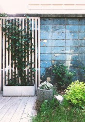 Restaurace Golden egg, mh architects