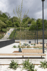 Studio OVA proměnilo Tachovské náměstí na Žižkově ve funkční a oblíbený veřejný prostor.