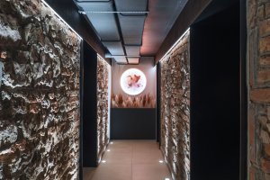 Nově vzniklé wellness umístěné v historických sklepních prostorách (Villa Fitz v Rokycanech, Luni architekti)