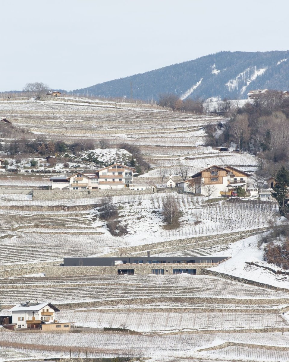 Vila P, Bergmeisterwolf