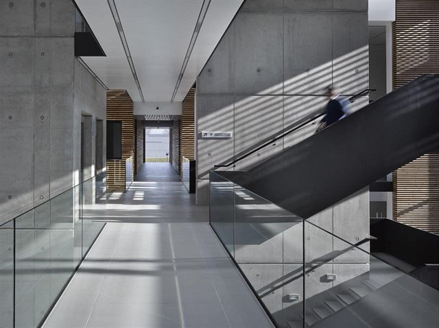 Bogle Architects, ELI, lávka v atriu – foto