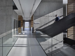 Bogle Architects, ELI, lávka v atriu – foto