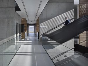 Bogle Architects, ELI, lávka v atriu – foto