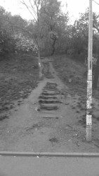 Tachovské náměstí před rekonstrukcí (Tachovské náměstí v Praze, OVA)