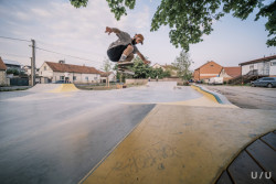 Skatepark Jeneč, U/U studio: Akcenty zelené a žluté oživují jinak monotónní betonovou plochu a celý areál je doplněn několika břečťany, typickou dřevinou lokality