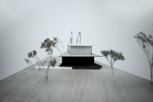 Letní dům u Štěchovic, Znamení čtyř - architekti, model