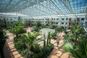 Jungle Interiors do svých návrhů začleňuje rozsáhlé množství rostlin, které plní nejen ekologickou roli, ale zlepšují kvalitu ovzduší a akustiku interiéru.