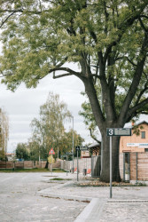 Počin za kultivované řešení veřejného prostoru: Přestupní terminál veřejné dopravy Mnichovo Hradiště