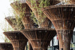 EXPO 2015, Vietnamský pavilon - foto