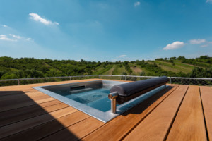 A také jedna soukromá vířivka, která se dá pronajmout individuálně. (ARTEVINI Resort & Winery u Velkých Pavlovic; znamení čtyř – architekti)