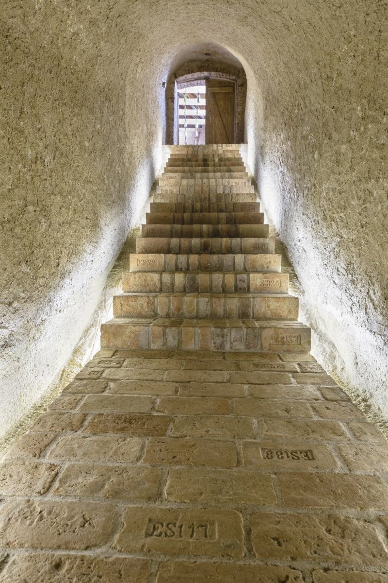 Vinný sklep Konice, Tomáš Dvořák architekti