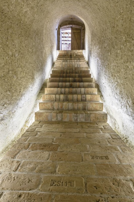 Vinný sklep Konice, Tomáš Dvořák architekti