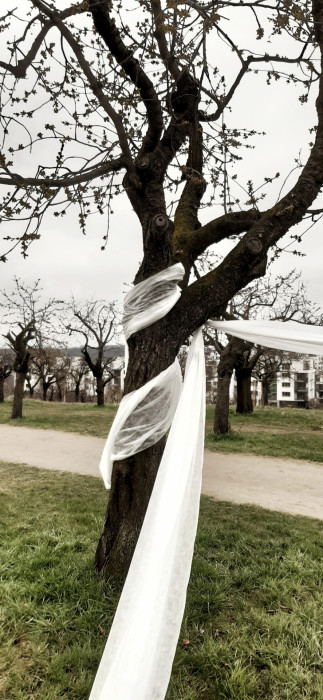 Landartová instalace Třešňovka, Tomáš Kodet.