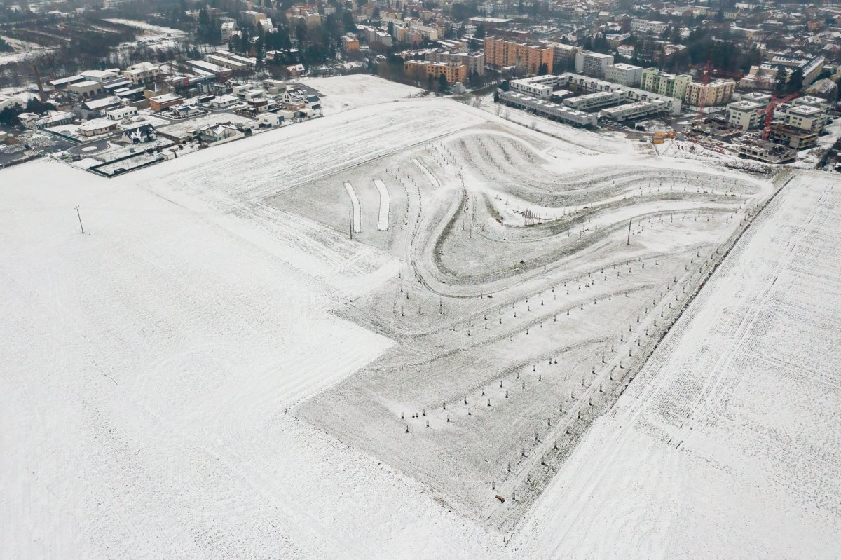 Park v zimě
