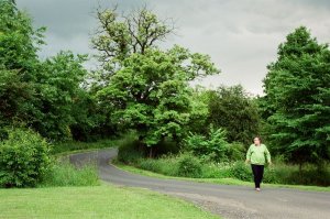 Zpracování projektu revitalizace Poohří