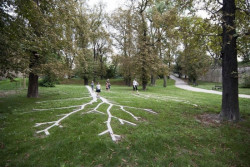 Veřejný prostor CZ, Foto